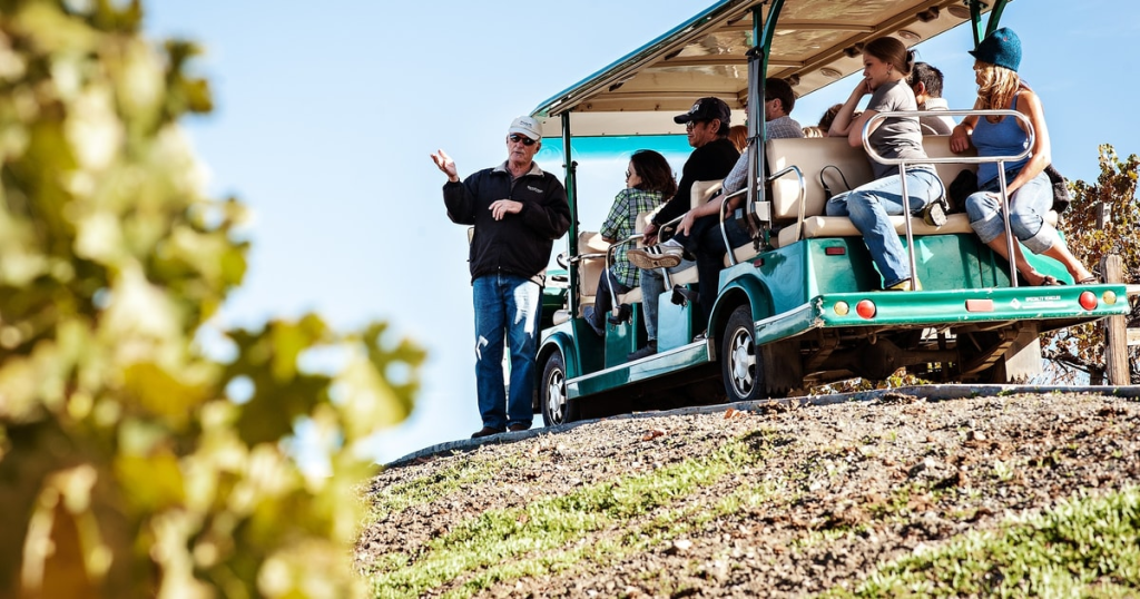 Tour Sonoma Worry-Free with the Ultimate Designated Driver Service 